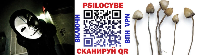 kraken онион  Нижний Тагил  Галлюциногенные грибы Cubensis 